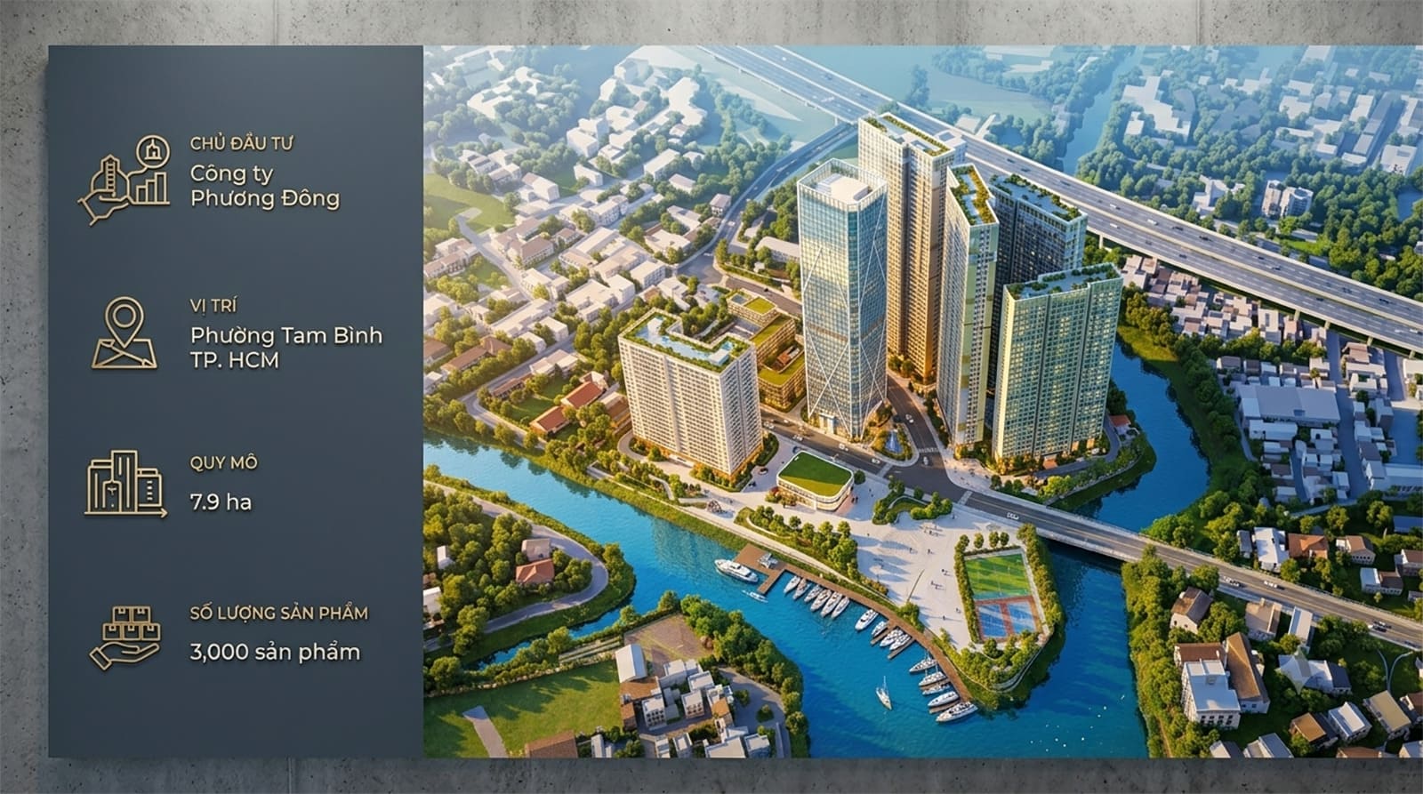 tổng quan picity metropolis